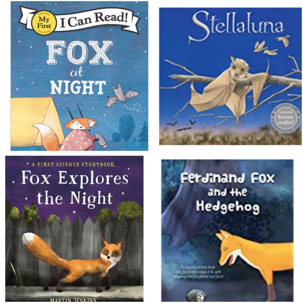 Keyworth Primary and Nursery School - Nocturnal animals exploring. Keyworth Primary and Nursery School - Nocturnal animals exploring.