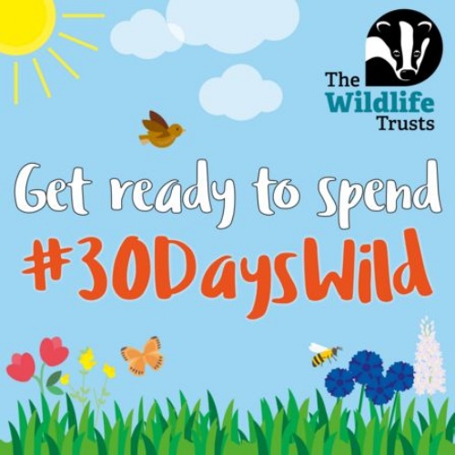 Going Wild in June!