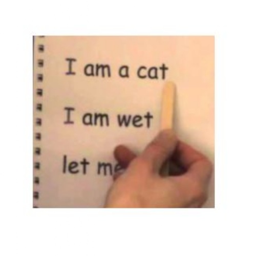 Using The Photocopied Ditty Sheets