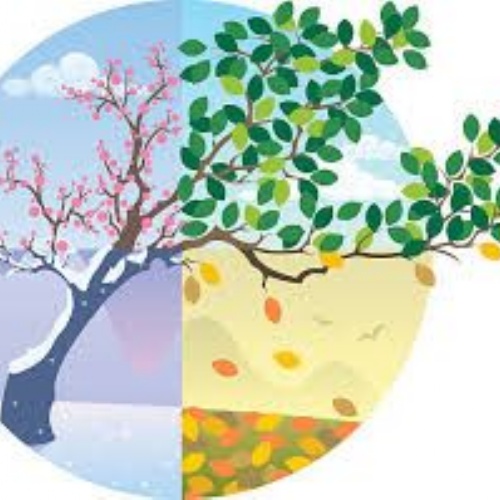 Summer 1 - Key Information