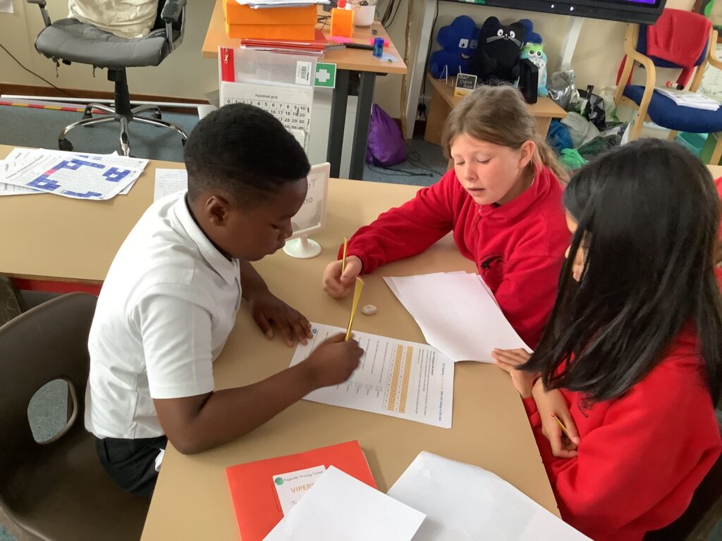 What have year 4 been up to this term?