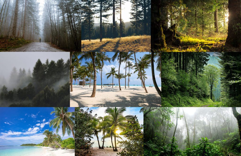 Autumn Two - Key Information