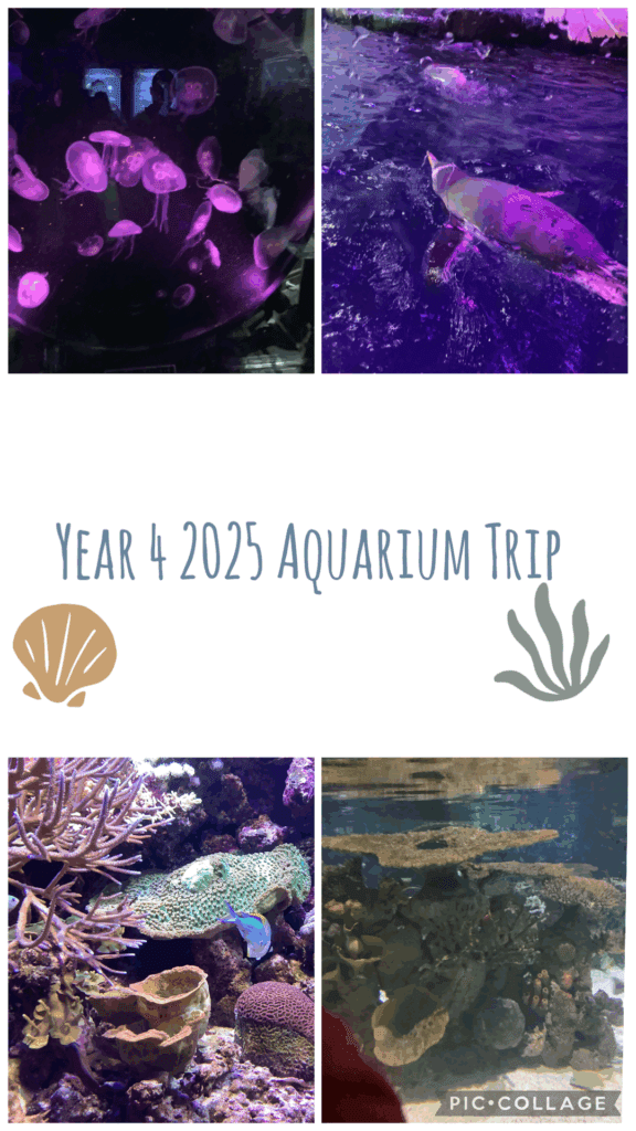 Aquarium Trip Pictures