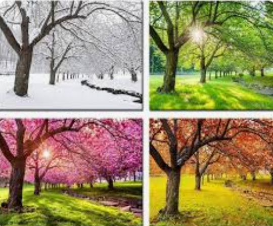 Talking about Time...