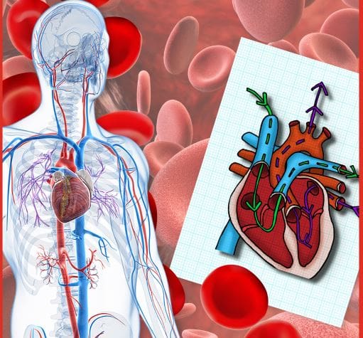 Summer 1 - Key information Year 6