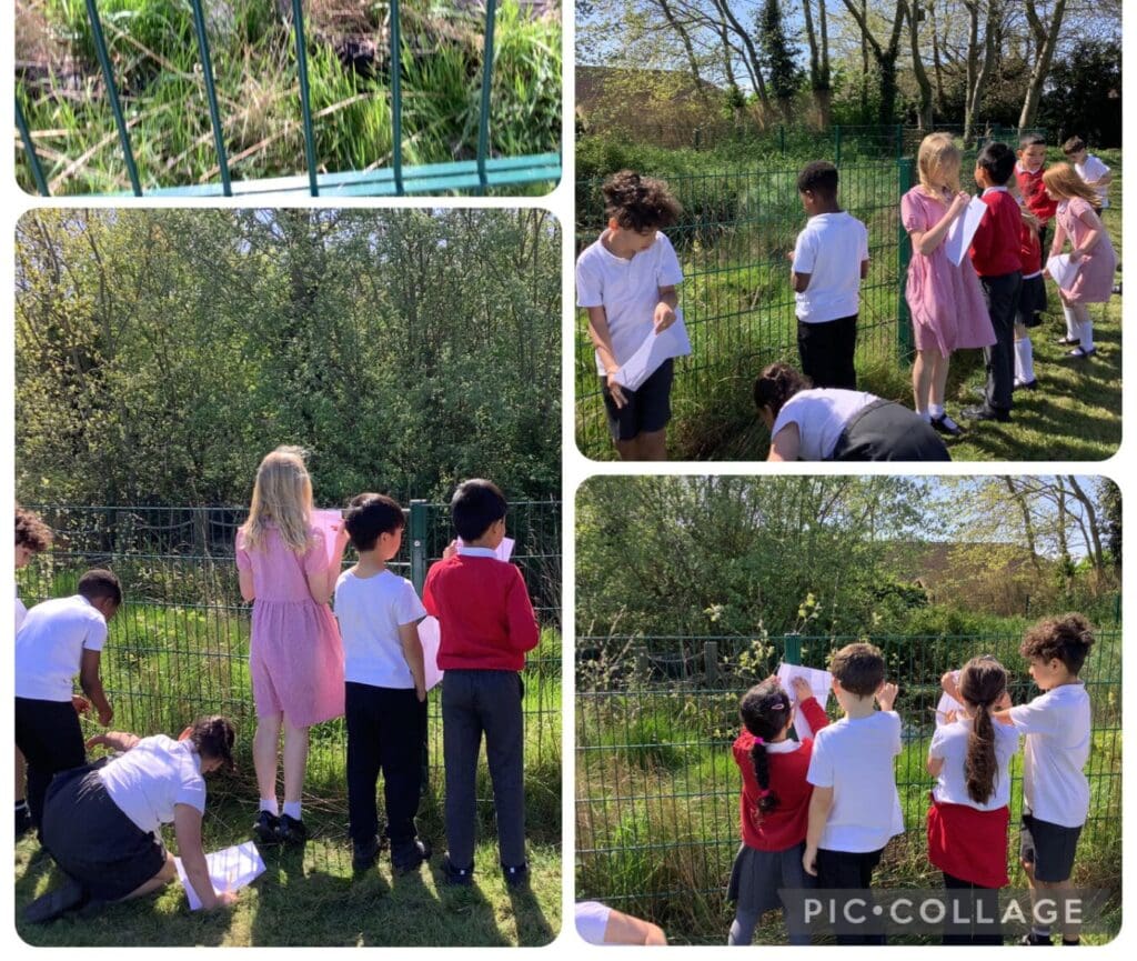 ⚠️Warning Stories in Action: From The Canal to the Pond