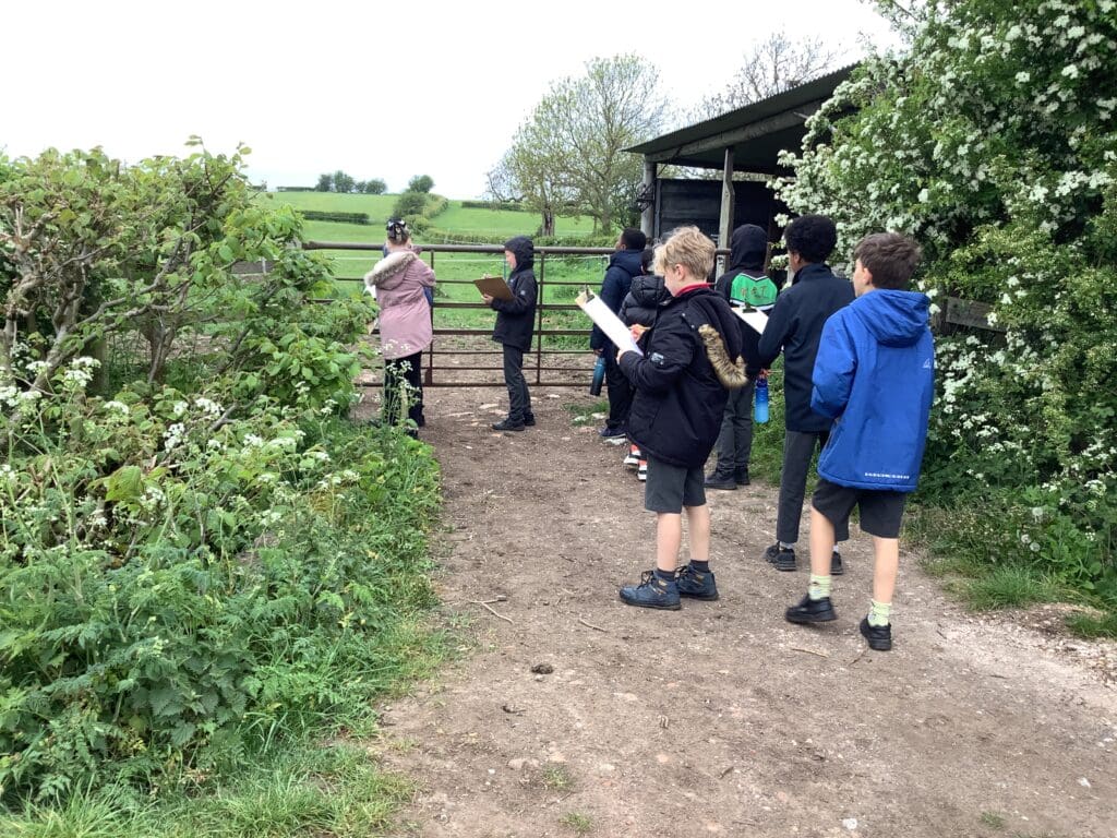 Field Trip to Ling's Lane