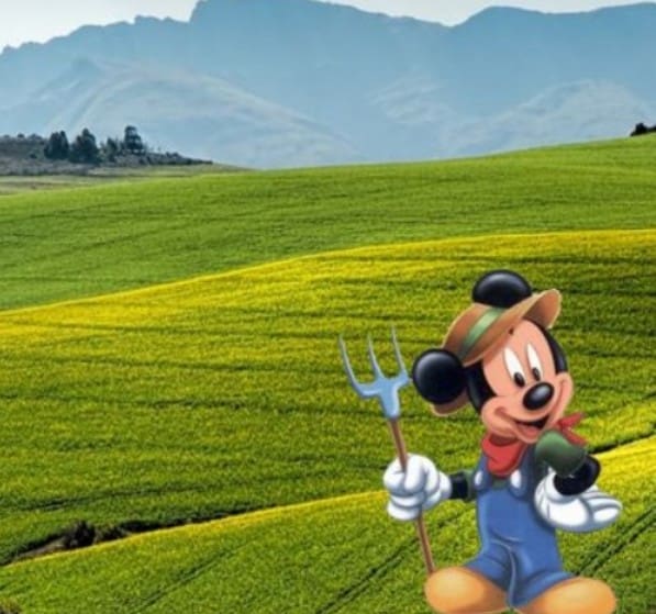 Summer Term One: Key Information