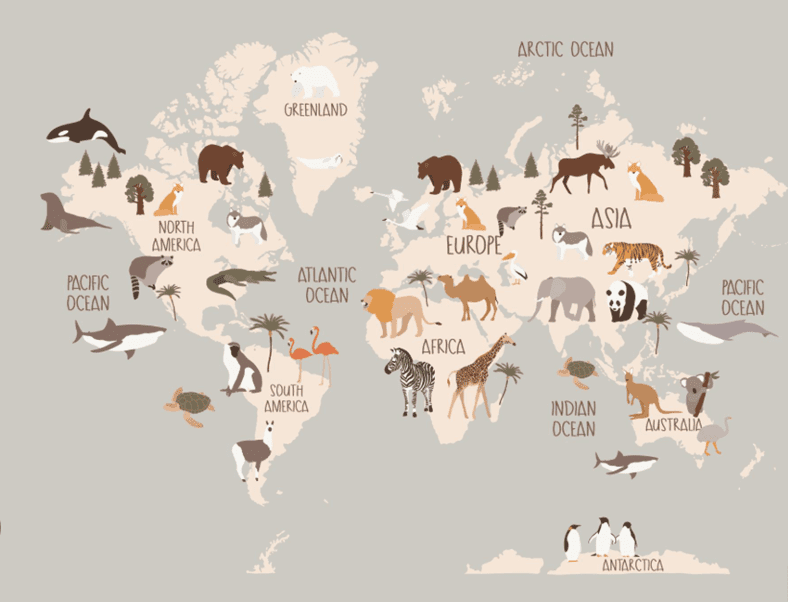 🦁🐘🐒 Our New Big Idea… Animal Kingdom! 🐼🦒🦜