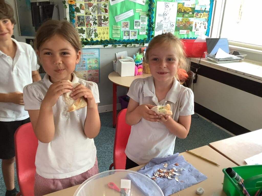 Watching Our Cress Grow! 🌱